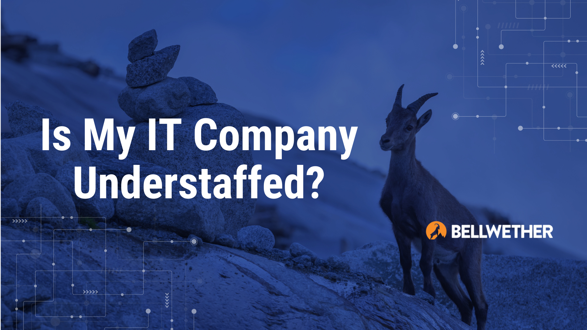 Is My IT Company Understaffed?