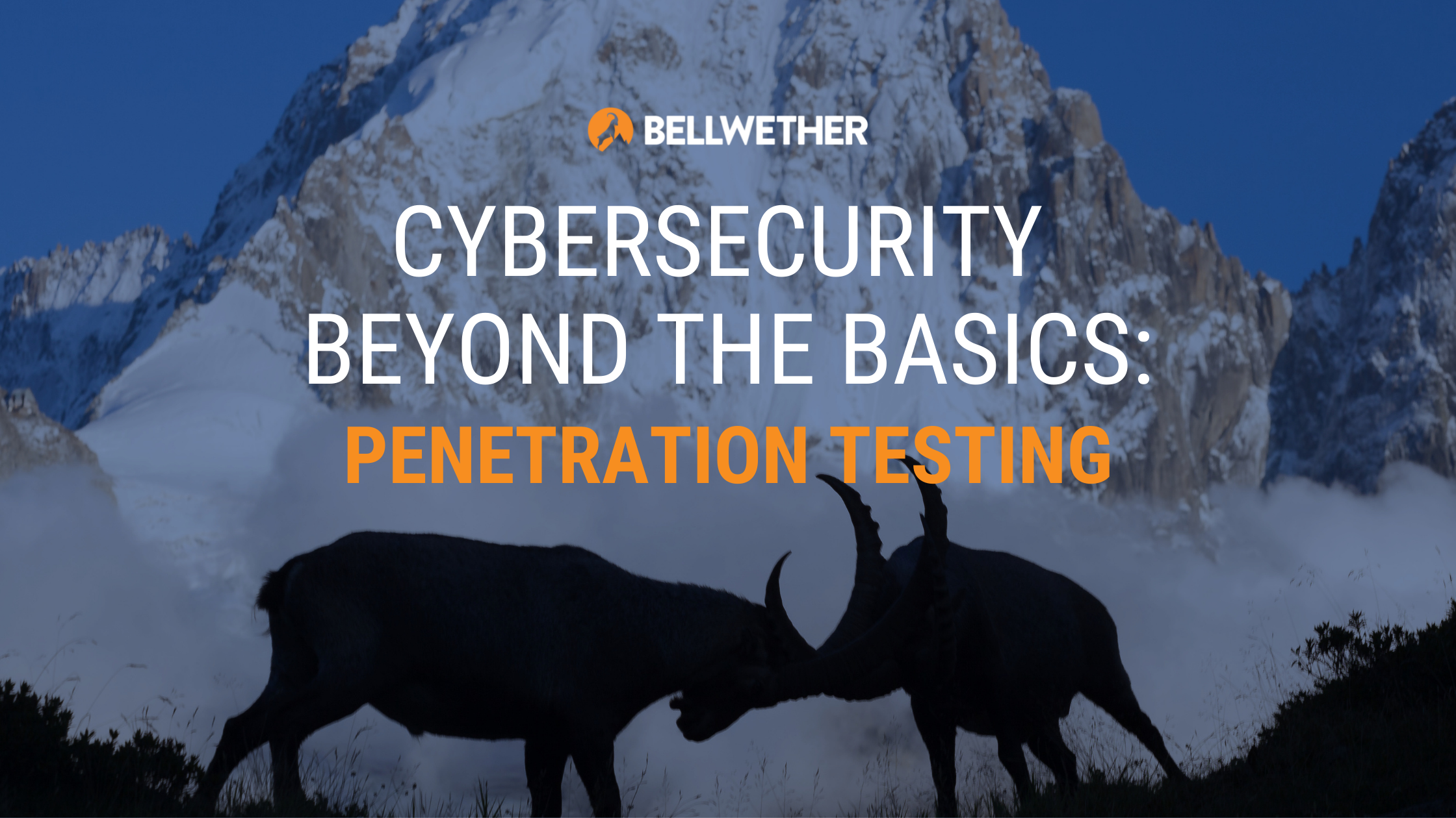 Cybersecurity Beyond the Basics: Penetration Testing