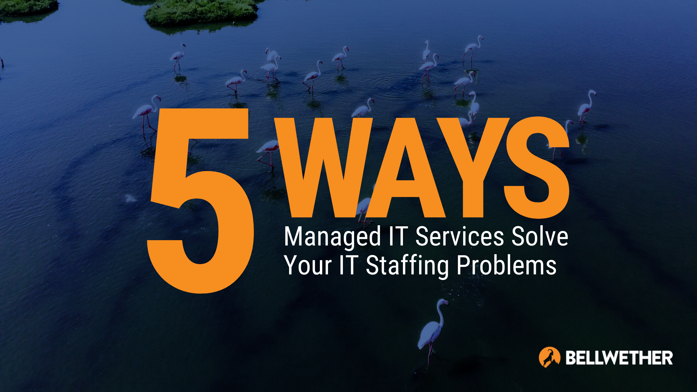 5 Ways Managed IT Services Solve Your IT Staffing Problems