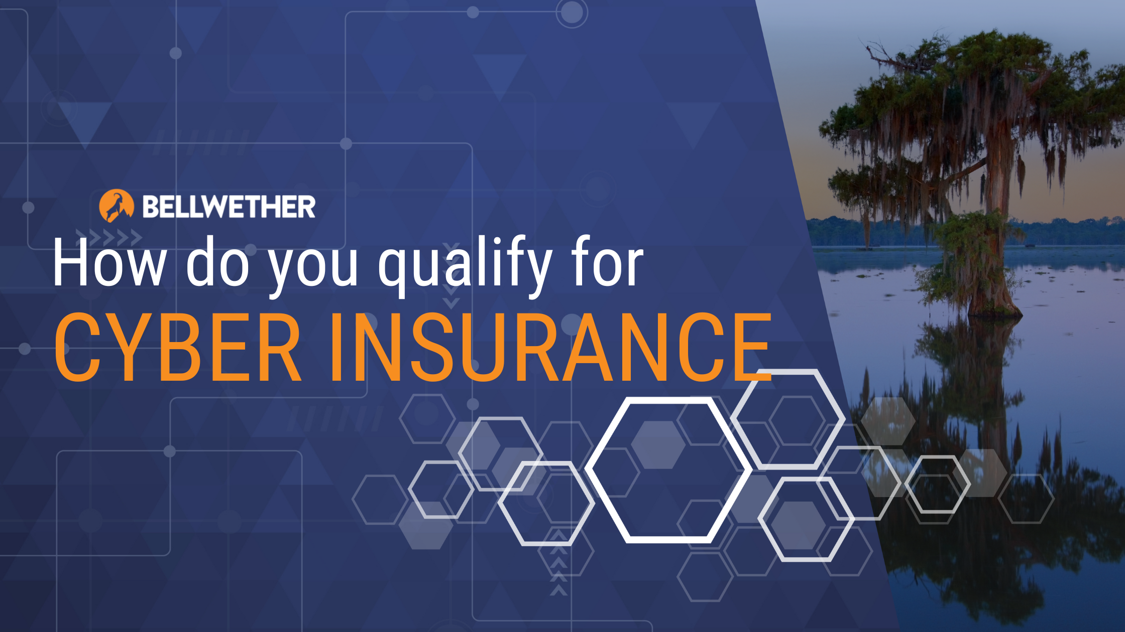 How do you qualify for cyber insurance