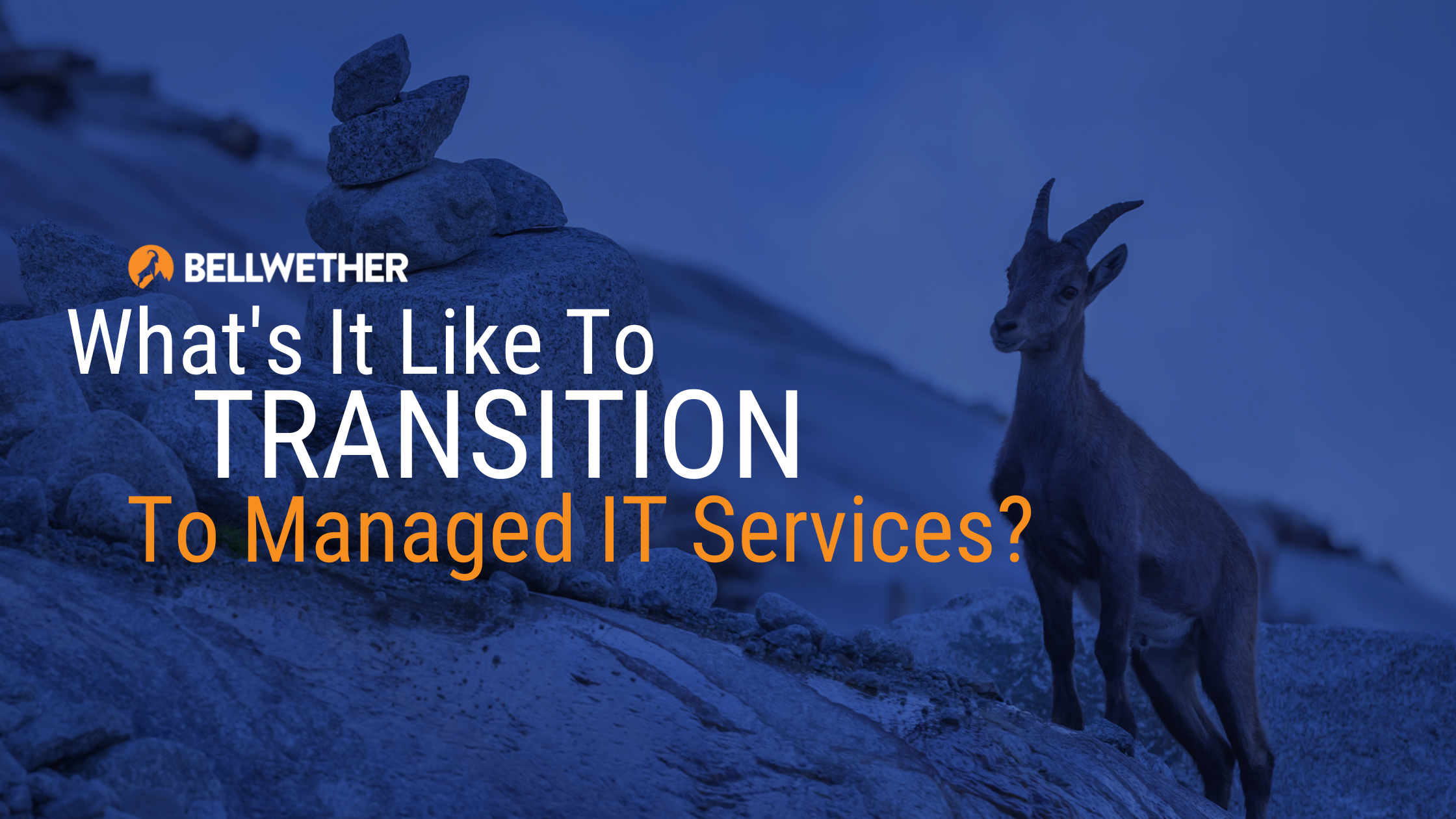 What's it like to transition to managed IT services