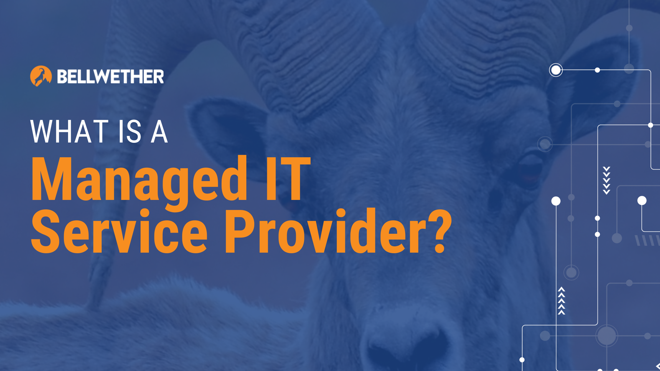 What is a managed IT service provider?