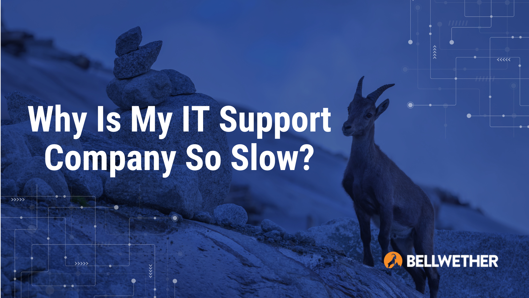 Why is my IT support company so slow?