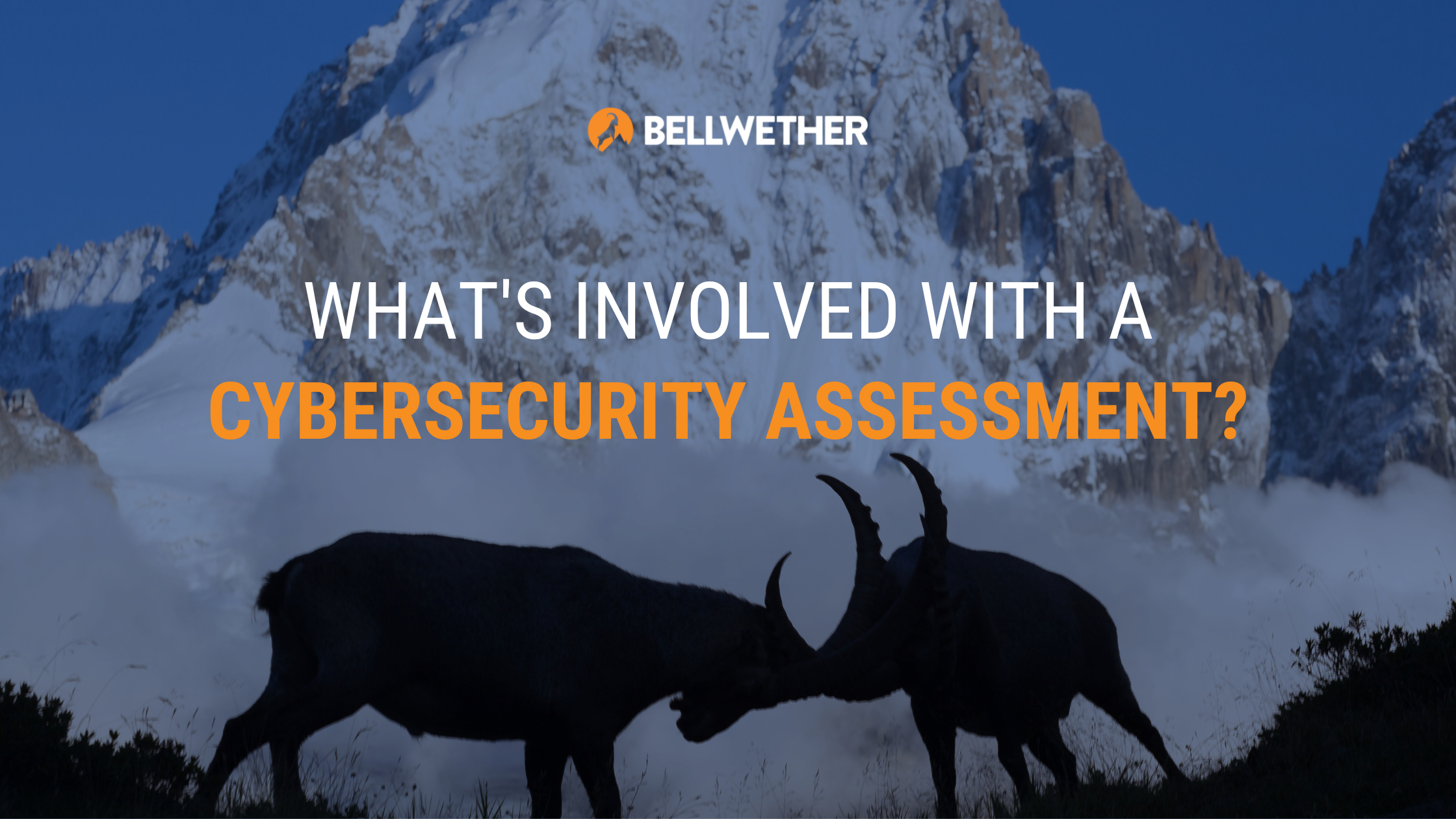 What's involved with a cybersecurity assessment?