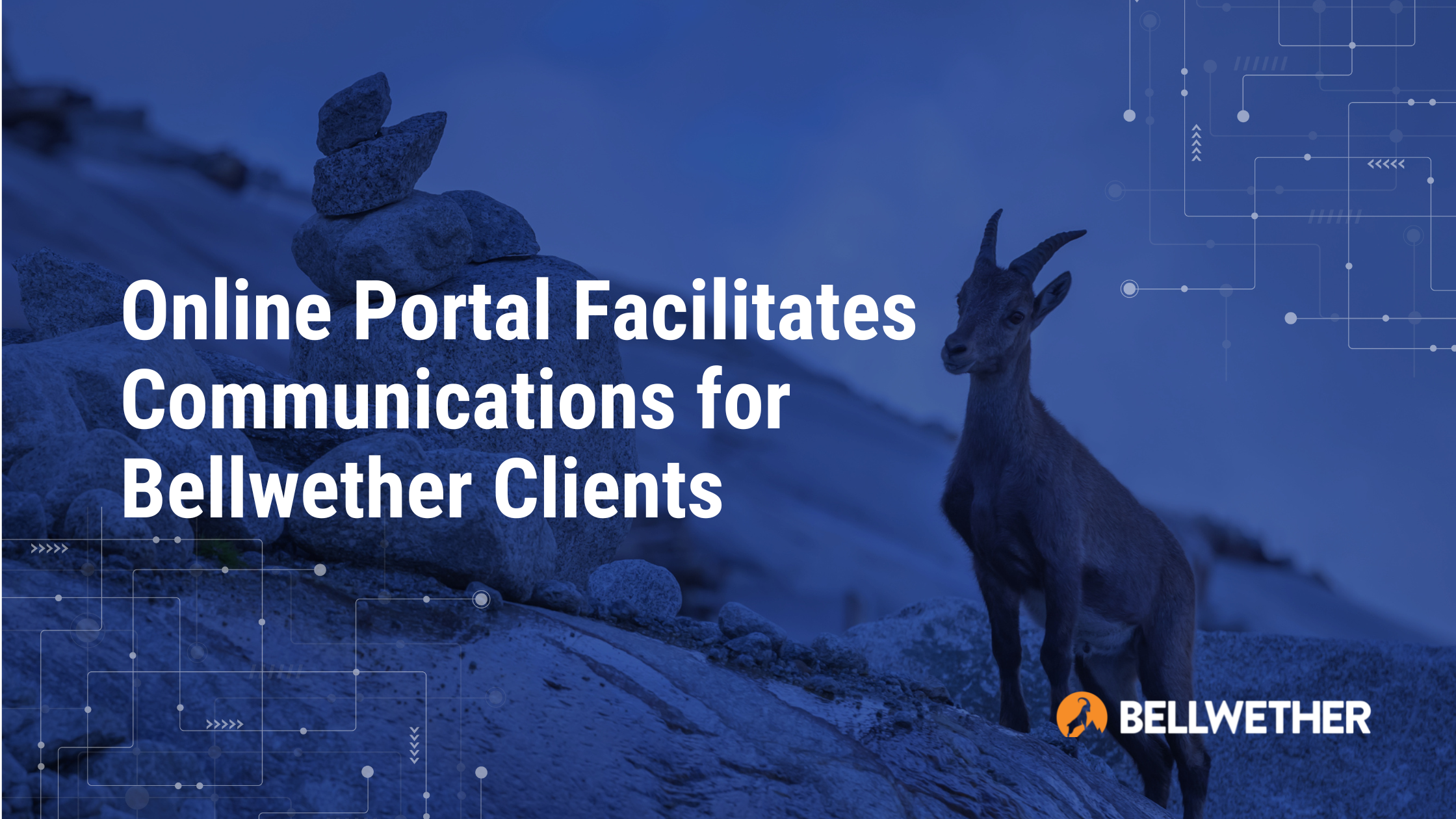 Online Portal Facilitates Communications for Bellwether Clients