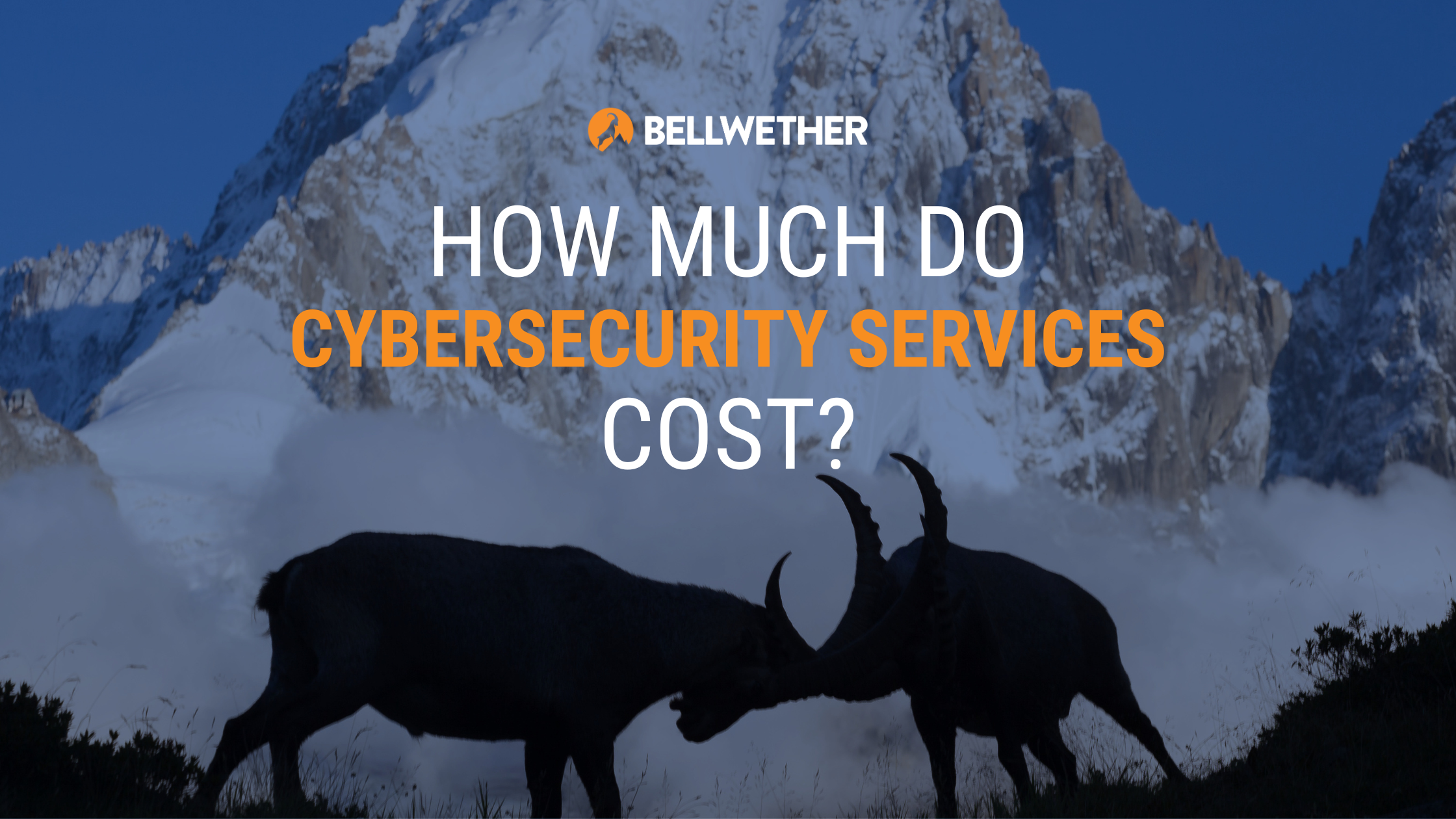How much do cybersecurity services cost?