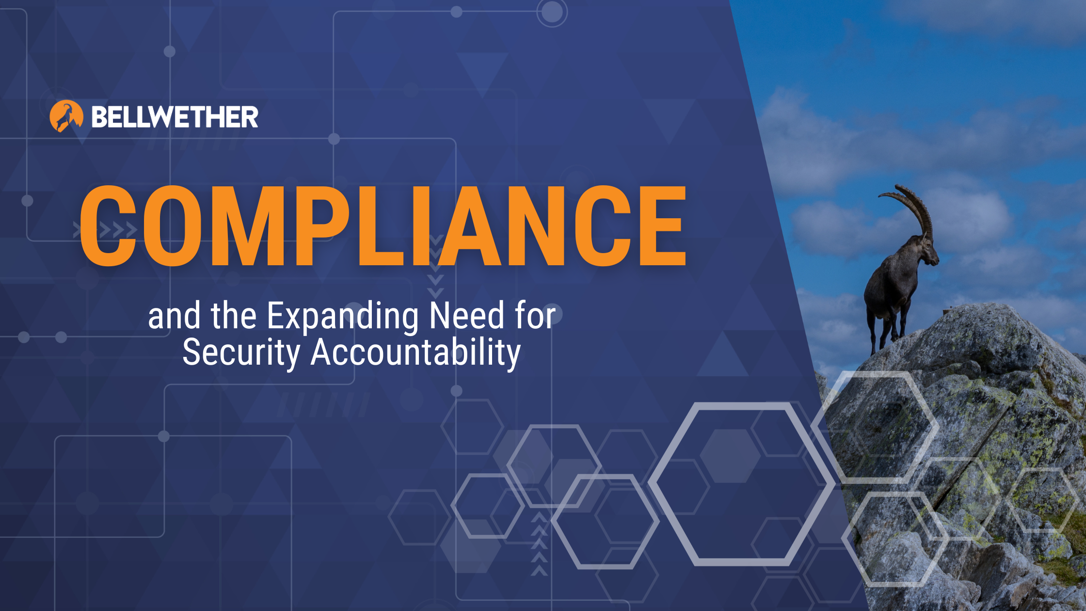 Compliance and the Expanding Need for Security Accountability