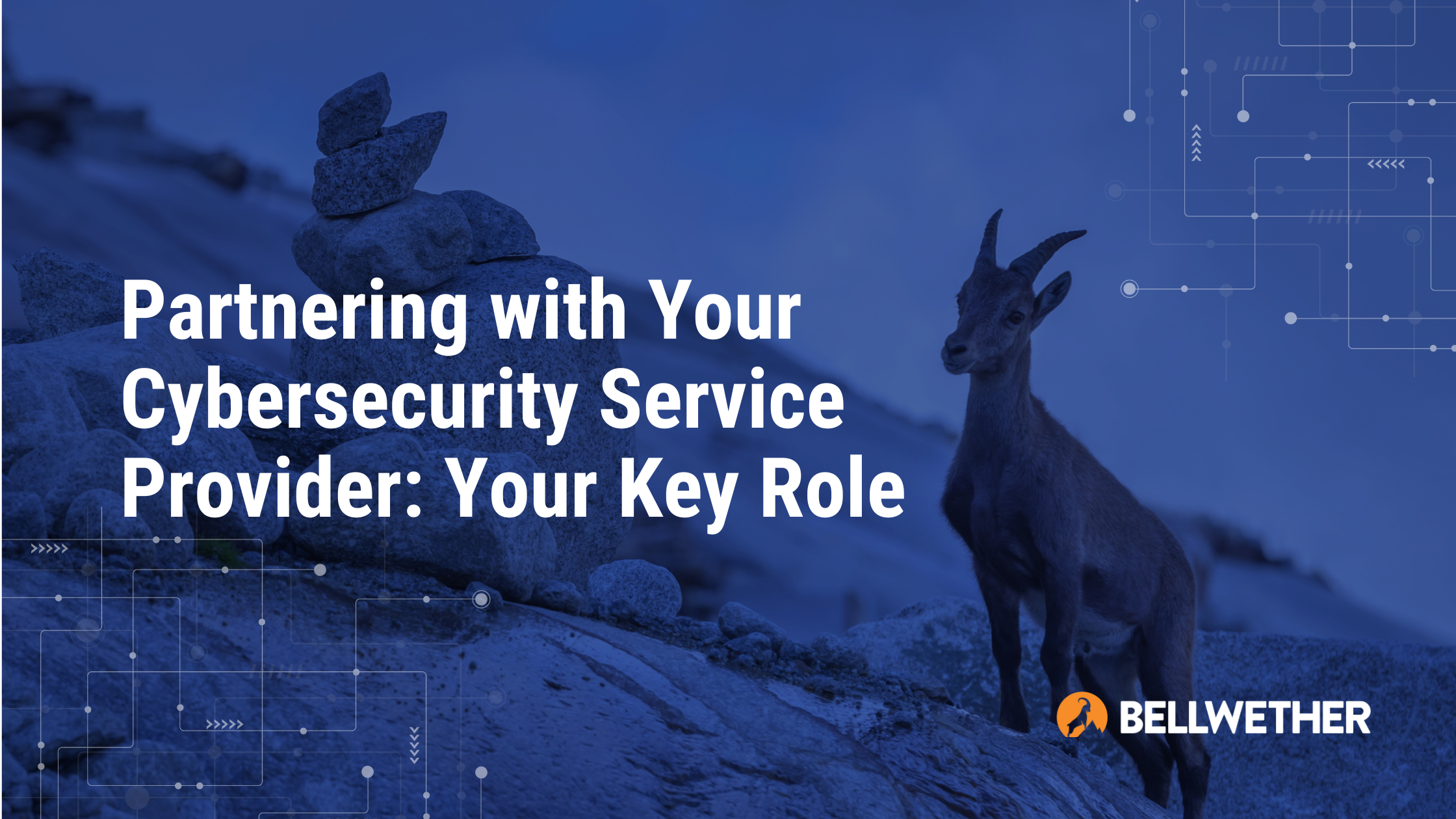 Partnering with Your Cybersecurity Service Provider: Your Key Role