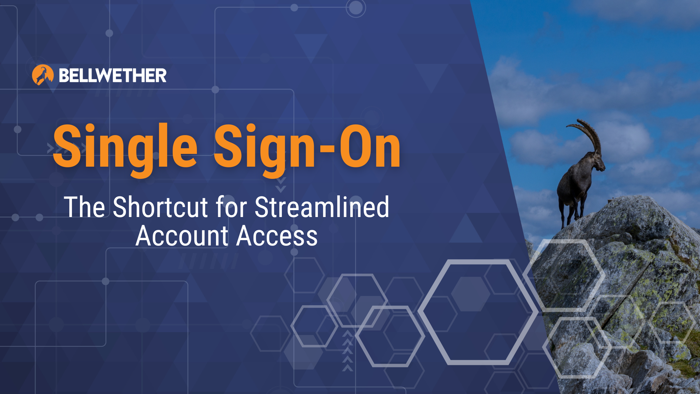 Single Sign-On: The Short Cut for Streamlined Account Access