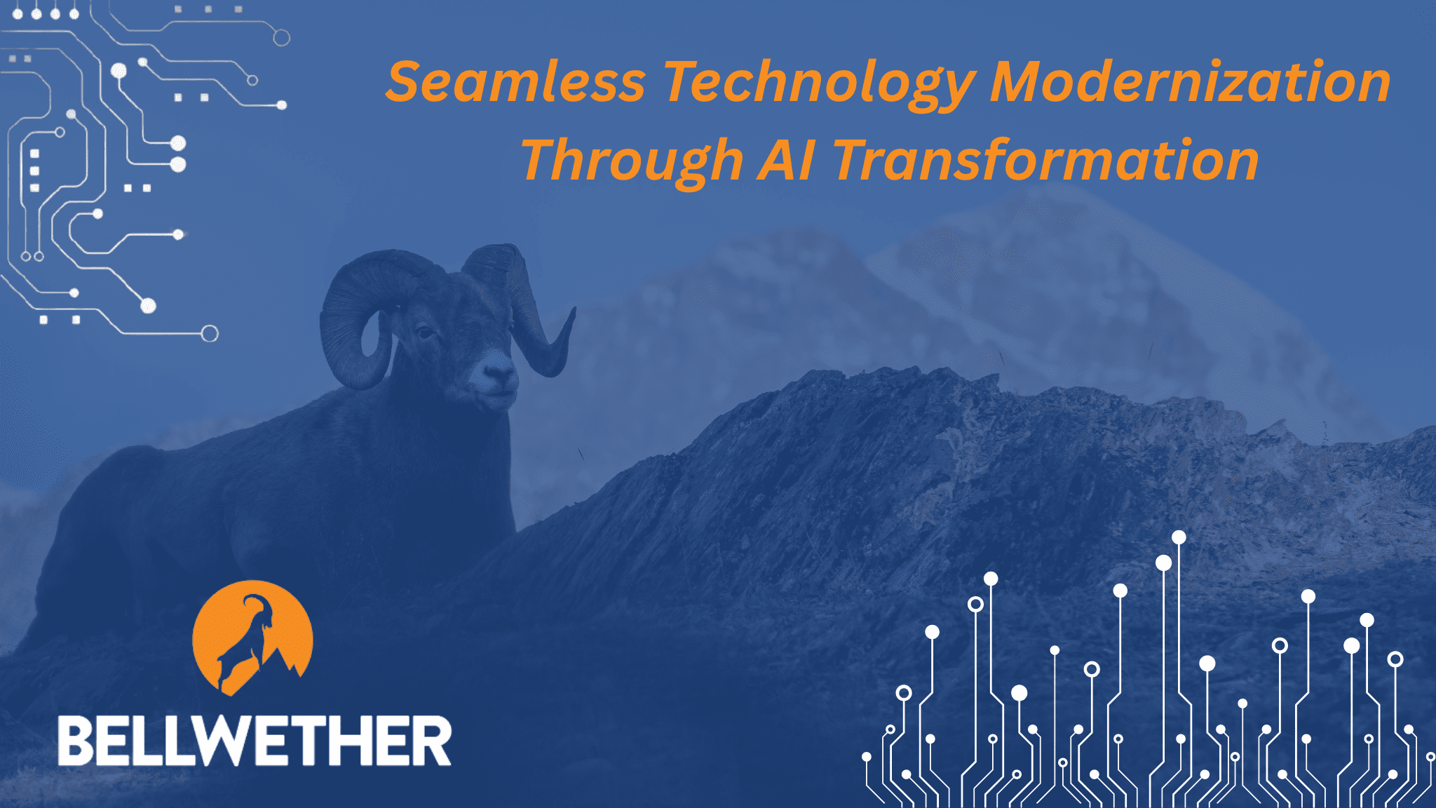 Managed Service Provider, New Orleans LA